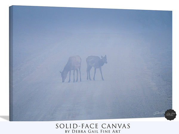 Elk in Blue Hour Fog Art