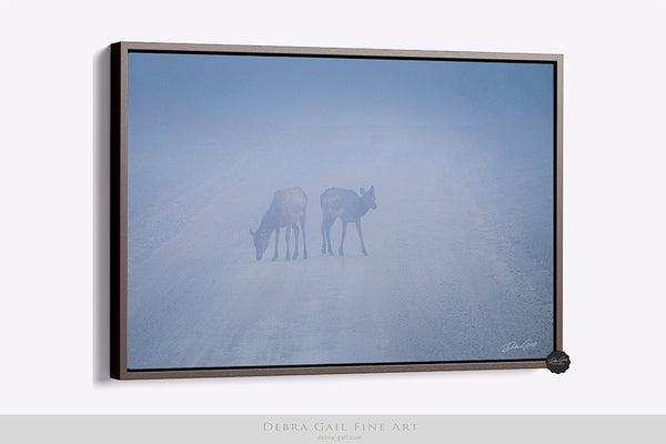 Elk in Blue Hour Fog Art