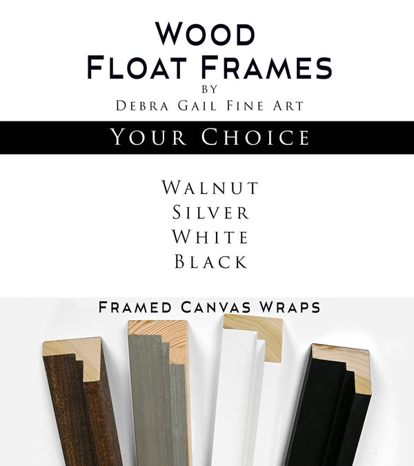 Wood float frame colors, brown, black, silver, and white by Debra Gail