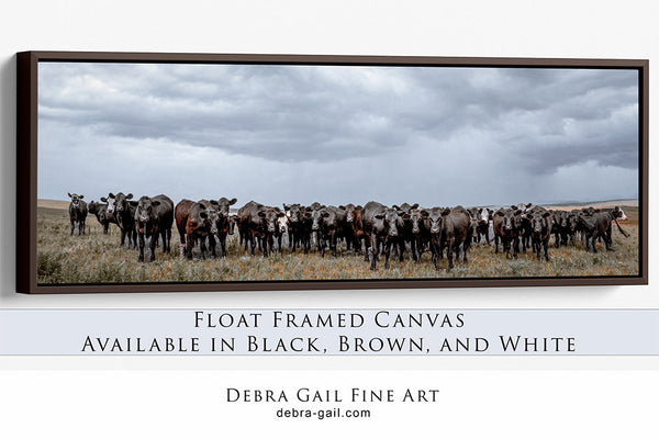 Black Angus Cattle Panoramic Wall Art