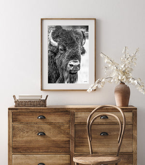 Framing Black & White Photography