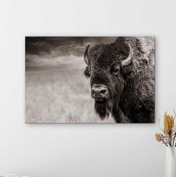 Bringing the Warmth of the Plains Into Your Home This Fall