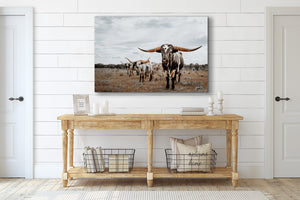 Western Longhorn Wall Art, Rustic Bison Prints, and Farmhouse Decor