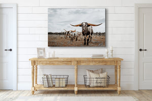 Western Wall Art for Farmhouse Spaces