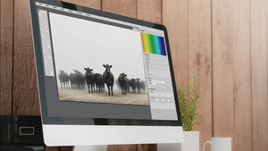 Shifts in Art & Photography