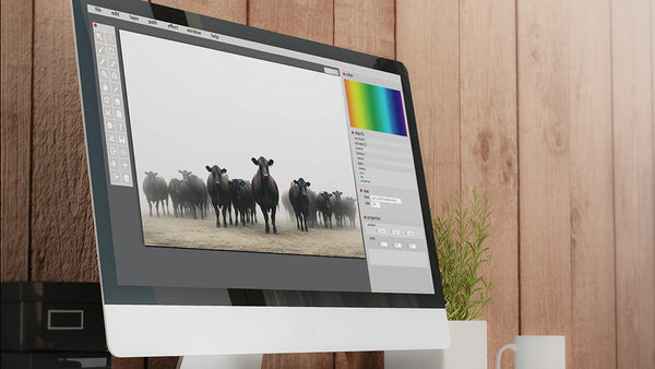 Shifts in Art & Photography