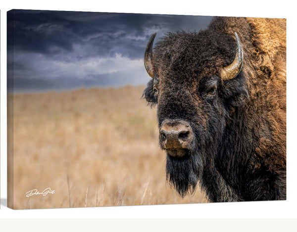 AMERICAN BISON PICTURE WALL ART - Best Selling American Buffalo Canvas, Southwestern Decor Print - Large Living Room Prints by Debra Gail
