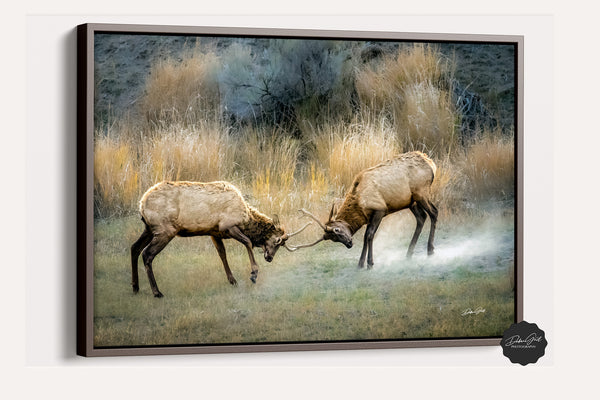 Moose Wall Art Canvas, Rustic Moose by Debra Gail, Bull Elk Art Canvas Prints, Mountain Canvas Wall Art