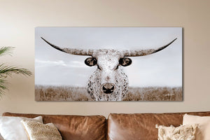 Longhorn Cow Print or Canvas, Western Home Decor, XL Cow Picture in Neutral Farmhouse Colors &amp; Styles, Barn Wood Frames, Big Cow Picture by Debra Gail Fine Art