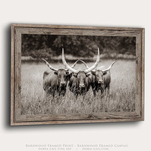 Texas Longhorn Watusi Art | Rustic Farmhouse Wall Decor