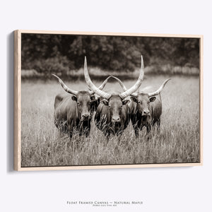 Texas Longhorn Watusi Art | Rustic Farmhouse Wall Decor