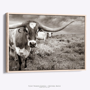 Longhorn Wall Art Canvas | Large Western Texas Longhorn Print