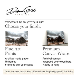 Moody Kansas Prairie Wall Art — Set of 4