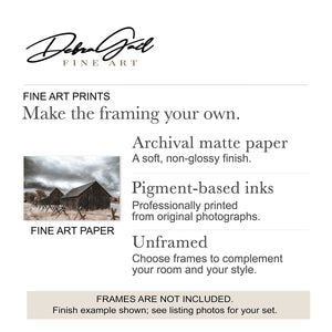 Moody Kansas Prairie Wall Art — Set of 4