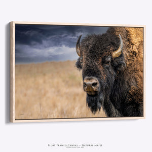 Bison Wall Art | Classic Extra Large Buffalo Art Prints on Canvas with Rustic Earth Tones