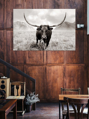 Texas Longhorn wall art – Western ranch photography print by Debra Gail Fine Art