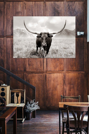 Texas Longhorn wall art – Western ranch photography print by Debra Gail Fine Art