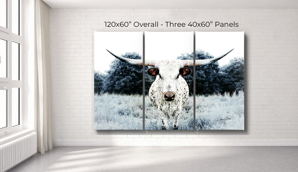 TEXAS LONGHORN - HUGE CANVAS SET