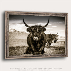 A black and white photograph of two yaks with long horns standing in a grassy field, framed in a wooden frame.