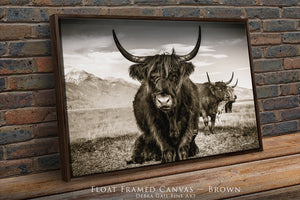 A black and white photograph of two yaks with long horns standing in a grassy field, framed in a brown wooden frame.