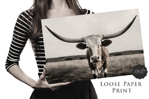 Longhorn cow wall decor canvas – rustic Western fine art print by Debra Gail Fine Art