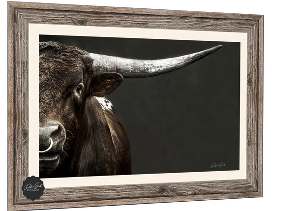 OVERSIZED LONGHORN BULL ART PRINT - FARMHOUSE DECOR