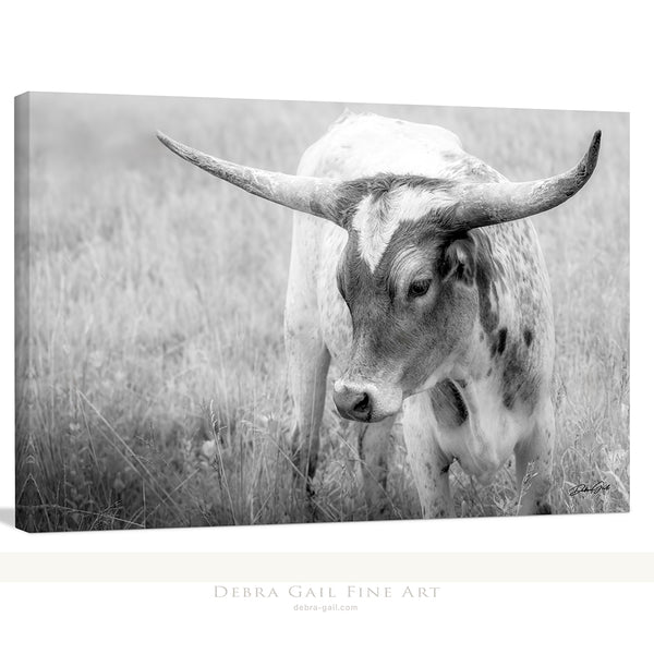 CUTE LONGHORN CALF PICTURE - FARMHOUSE COW NURSERY DECOR