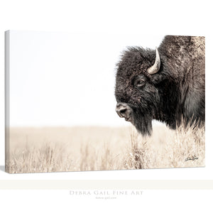 Bison wall art – rustic prairie photography print by Debra Gail Fine Art