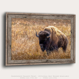 Bison Wall Art | Neutral Prairie Wildlife Fine Art