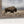 Western Bison Wall Art | Panoramic Buffalo Canvas Print