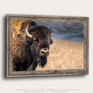Bison Bull Canvas Art – Rustic Buffalo Wall Art Prints for Western Home Decor