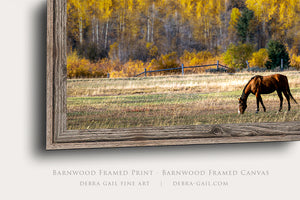 Horse Wall Art Decor | Wide Autumn Western Landscape Canvas