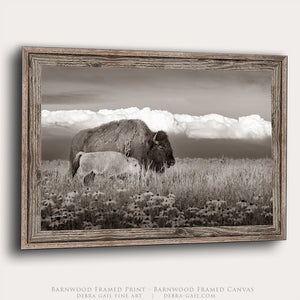 Buffalo Wall Art | Western Bison Calf Canvas Print - Rustic Farmhouse Decor