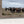 Black Angus Wall Art - Panoramic Wide Cattle Canvas | Rustic Western Decor