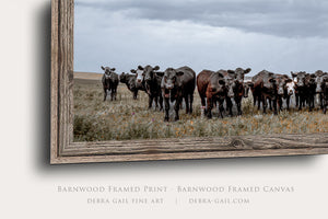 Black Angus Wall Art - Panoramic Wide Cattle Canvas | Rustic Western Decor