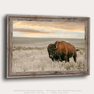 Western Bison Wall Art | Prairie Fine Art Photograph