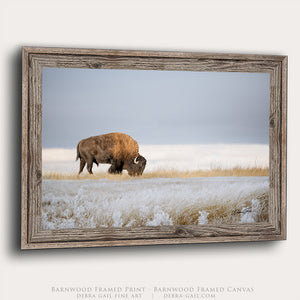 Buffalo Artwork for Western Living Room Decor | Western Luxury Bison Canvas