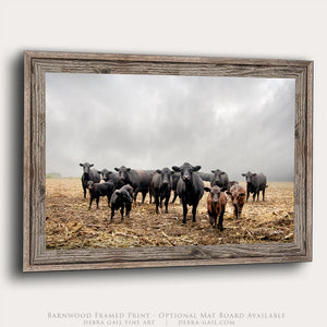 Black Angus Cattle Wall Art Canvas – Rustic Western Farmhouse Print