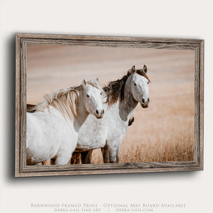 Two Mustangs Horse Wall Art - Flint Hills Kansas