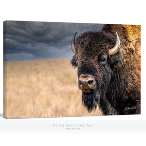 Spiritual Buffalo Wall Art American Bison Western Home Decor Photo Picture Wrapped Canvas Framed Wood Print Kansas Photography