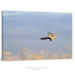 hawk Prairie wall art – sunrise landscape photography print by Debra Gail Fine Art