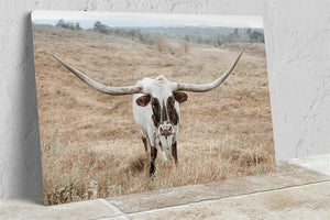 Texas Longhorn wall art – Western ranch photography print by Debra Gail Fine Art