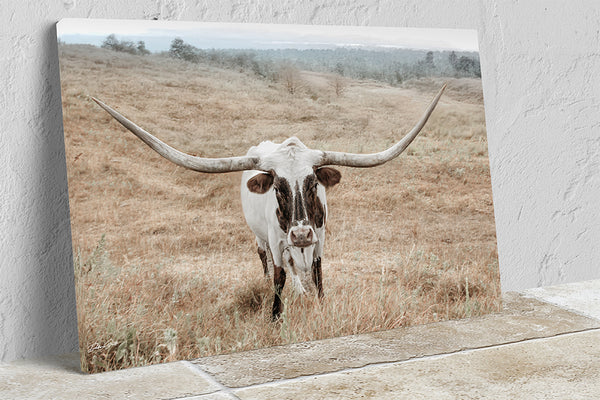 Longhorn Cow Print or Canvas - Neutral Farmhouse Artwork