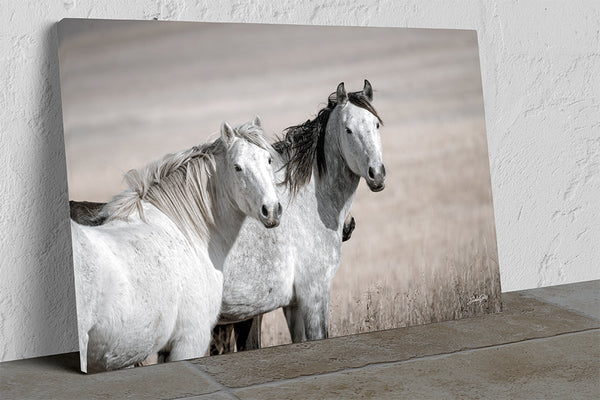 Mustang Horse Print - Perfect for Horse Lovers