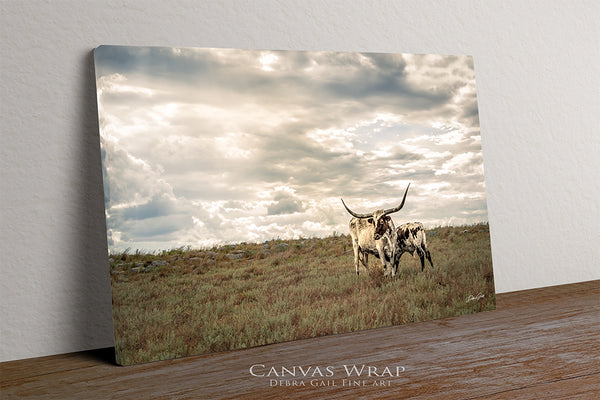 Texas Longhorns Under Dramatic Sky | Western Rustic Fine Art Photography