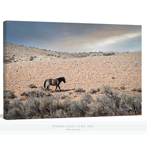 Wild Mustang Canvas - Southwestern Wall Art | Rustic Horse Photography Print