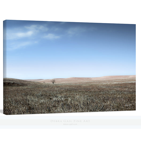 TREE ON THE TALLGRASS PRAIRIE ART PRINT OR CANVAS