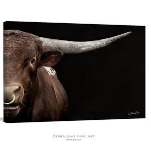 Texas Longhorn wall art – Western ranch photography print by Debra Gail Fine Art