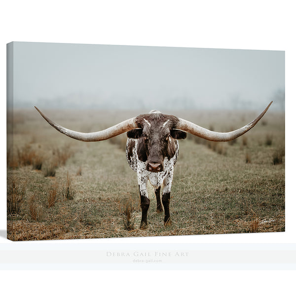 STUNNING LARGE LONGHORN ART - FARMHOUSE DECOR