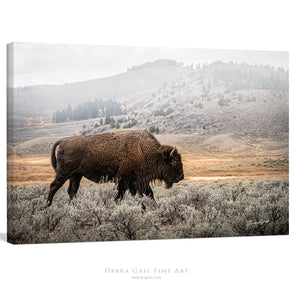Bison Wall Art - Large Buffalo Canvas Print | Rustic Western Home Decor